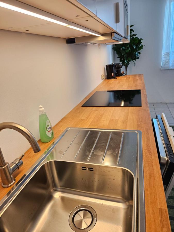 ウィーンCity Oasis With Brand-New Kitchen 1Brアパートメント エクステリア 写真